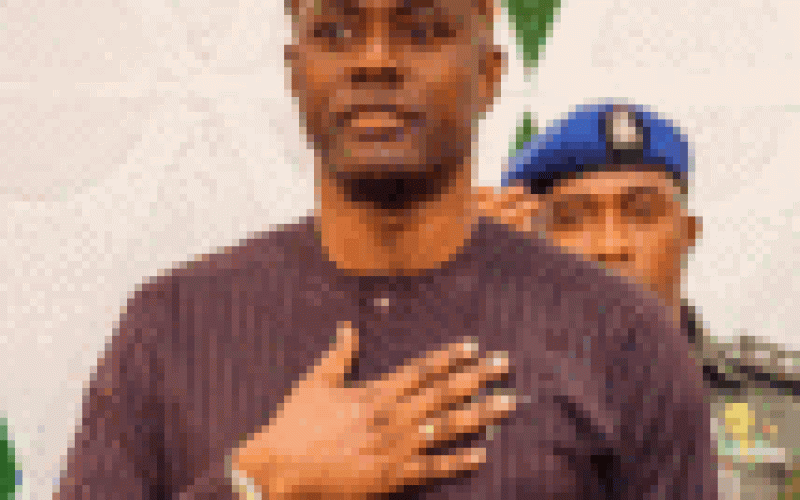 APC berates Makinde over planned LG election