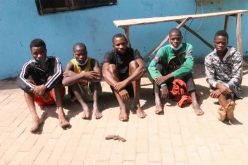Police nab 9 armed robbers terrorizing Abuja communities, recover weapons