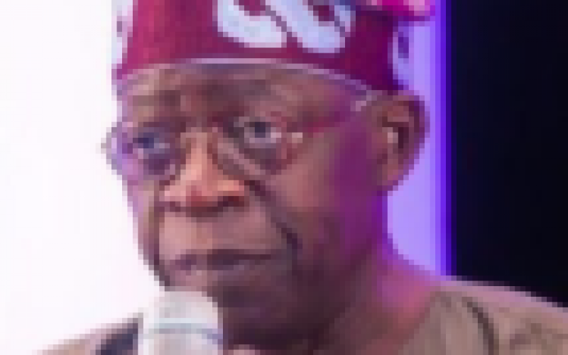 Nigerians love APC, can rule beyond 2023 ― Tinubu