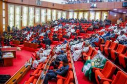 Senate confirms Adolphus as Auditor-General for the Federation