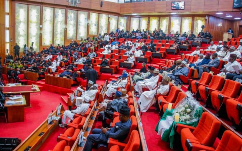 Senate reviews labour law to punish employers involved in modern slavery, child Labour, discrimination
