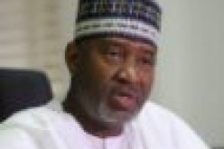Sirika assures PLWDs of adequate protection at nation’s airports