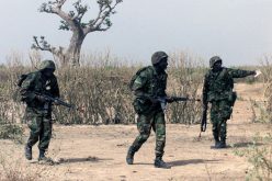 Troops kill scores of terrorists, recapture Marte