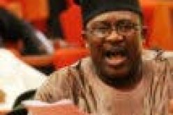 ‘Senate not for thugs’,  Ohuabunwa tells Adeyemi over anti-Ikpeazu comment