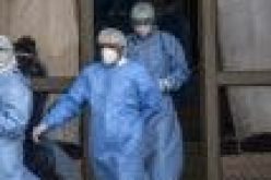 One in two South Africans has had Covid-19 ― Studies, Statisticians