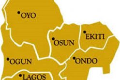 SouthWest govs., traditional rulers back NEC on forest mgt