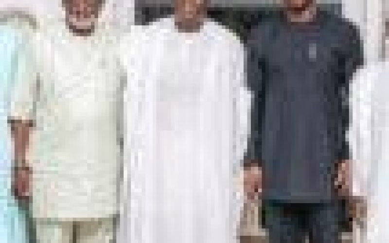 We shall fight criminality with every legal means ― Southwest governors