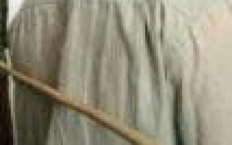 3 men get 12 strokes of cane each for attempting to steal