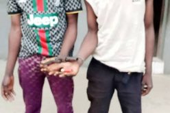 Police arrest two traffic robbery suspects in Lagos hotel