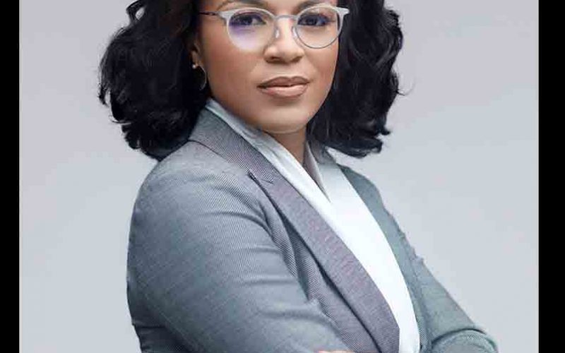 ARM-HARITH’s MD/CIO Appointed To United Nations Advisory Committee, And Working Group, Contributing African Perspectives On Global Infrastructure Investment
