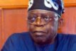 TINUBU WARNS: Don’t help herdsmen without assisting farmers