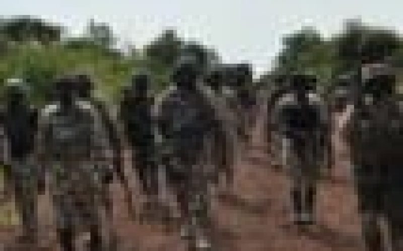 Just in: Troops recover Marte, kill scores of Boko Haram/ISWAP terrorists