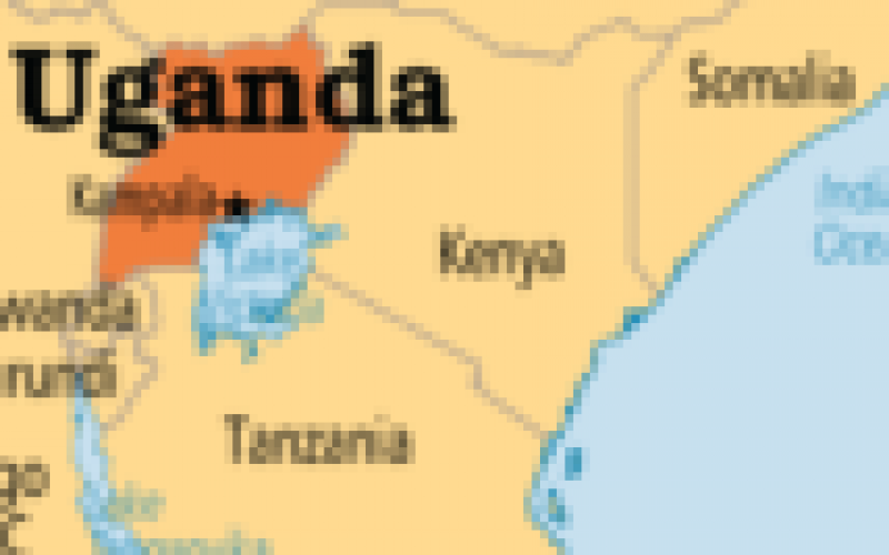 6 children killed playing with old bomb in Uganda ― Police