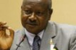 Ugandan president meets with senior Chinese diplomat on bilateral ties