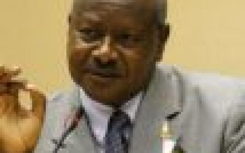 Ugandan president meets with senior Chinese diplomat on bilateral ties