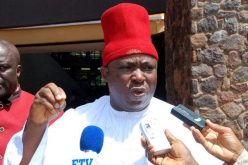 Anambra 2021: Ngige, PDP, APC can’t stop APGA – Umeh