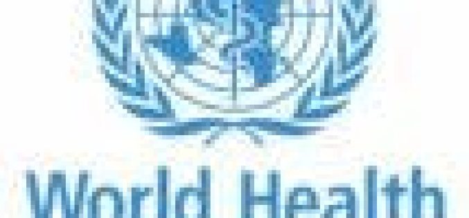 WHO cautions on excessive speed to reduce road accidents