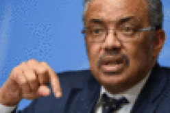 All possible Covid origins ‘need further study’ ― WHO DG