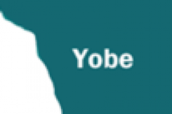 Yobe executive council approves N3.2bn for capital projects