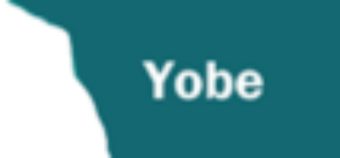 Yobe executive council approves N3.2bn for capital projects