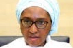 Insecurity: Military delays supplementary budget for procurement of equipment – Zainab Ahmed