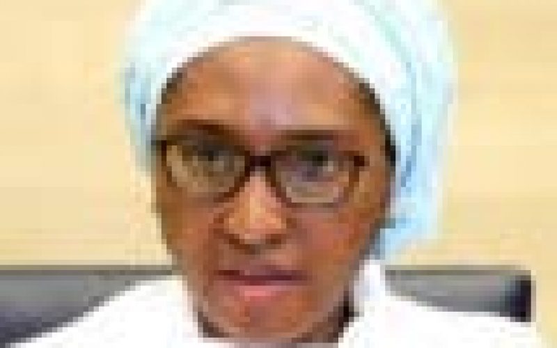 Insecurity: Military delays supplementary budget for procurement of equipment – Zainab Ahmed