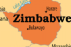 Zimbabwe says malaria prevalence falls 79%