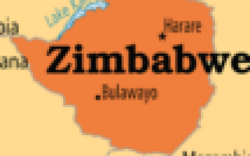 Zimbabwe says malaria prevalence falls 79%