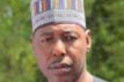 Borno: Zulum secures FGC admissions for 959 out-of-school girls, boys 