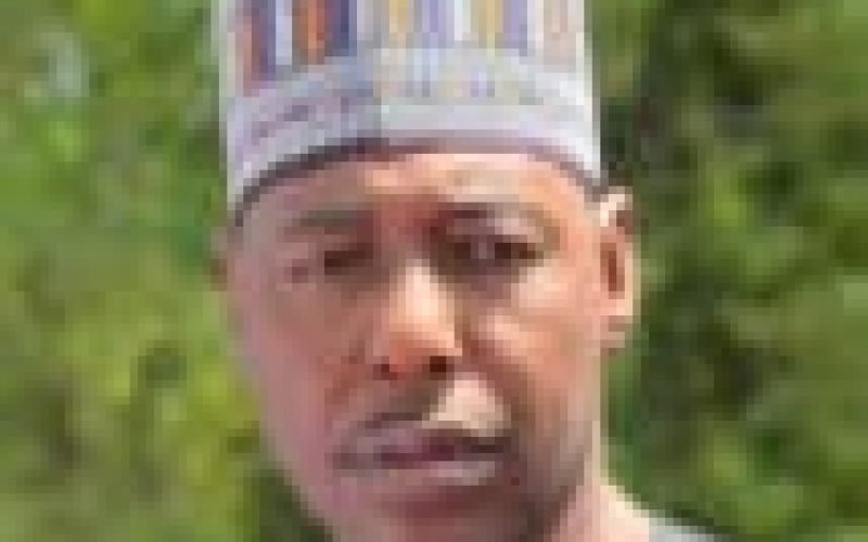 Borno: Zulum secures FGC admissions for 959 out-of-school girls, boys 