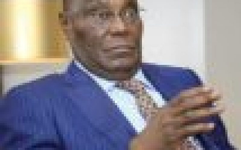 2023: Only Atiku, PDP can make Igbo president — Group
