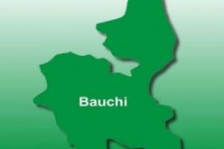 How water-vendor was beaten to death, burnt after alleged blasphemy in Bauchi community