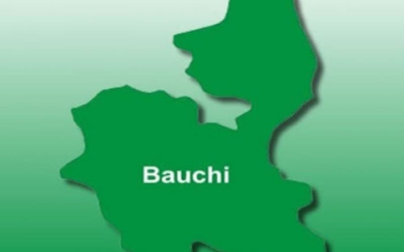 How staff impersonated Bauchi lawmaker, received salaries, other allowances — Deputy Gov