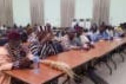 Benue tribal leaders urge FG to legalise ownership of firearms