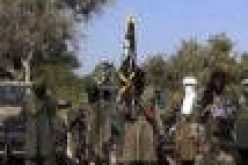 Boko Haram kills 16 in Borno, Adamawa, razes 50 houses