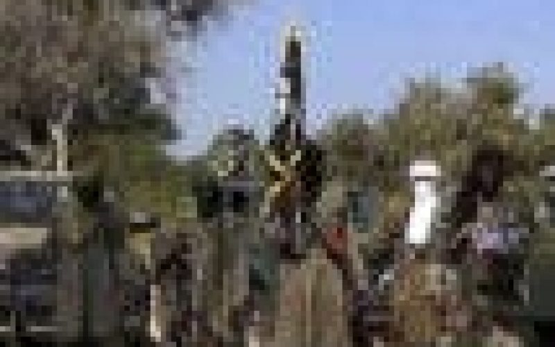 Boko Haram kills 16 in Borno, Adamawa, razes 50 houses