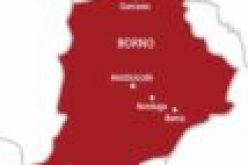 Borno NLC denies sack of 6,000 teachers