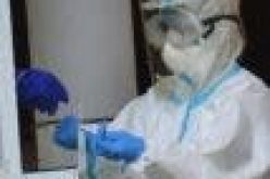 New COVID-19 variant discovered in Nigeria, 15 countries