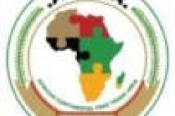 AfCFTA: Mapping Nigeria’s foray into Africa’s single market