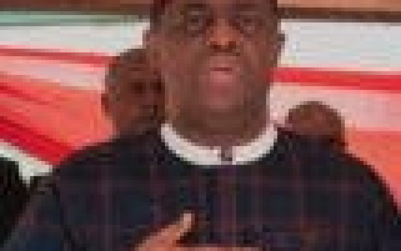 Don’t gloat over banditry, kidnappings, killings in the North — Fani-Kayode warns Southerners
