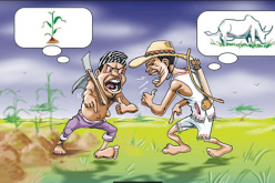How to end farmers/herders’ crises — YCE, Afenifere, Agbekoya, Hunters