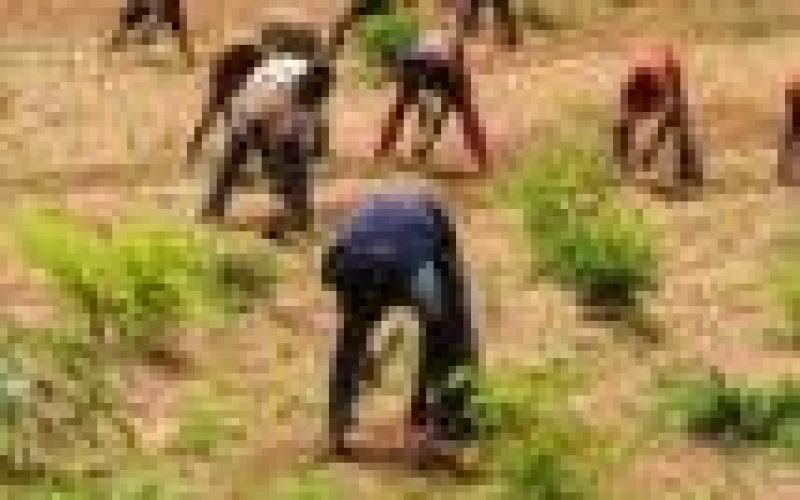 Universal Insurance to commence micro, agric businesses