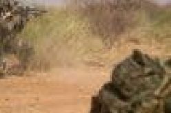 8 soldiers killed, 5 others injured in Mali