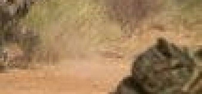 8 soldiers killed, 5 others injured in Mali