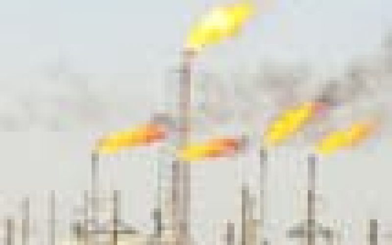 Gas is vital to Nigeria’s future – OPEC