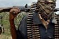 Female combatants among gunmen that abducted Zamfara schoolgirls
