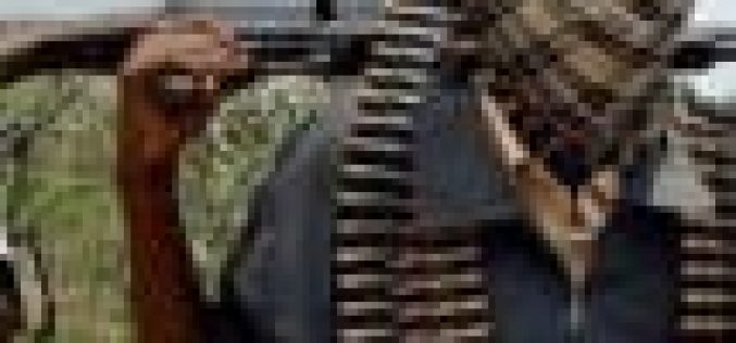 Female combatants among gunmen that abducted Zamfara schoolgirls