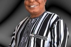 Defence Minister’s call for self-defence: Benue tribal leaders urge FG to legalize ownership of firearms