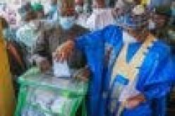 Presence of elected LG administrations will reduce security challenges ― Lawan