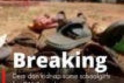 Minna Bus Kidnap: Our close shave with death— Victims